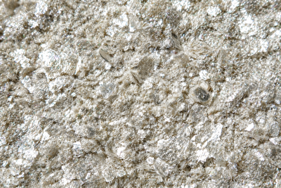 Luminosity — Mica